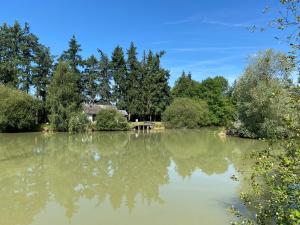 un gran lago con una casa en el fondo en Cottage du Diot, son lac et son île en Bannegon