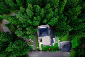 an overhead view of a house in the middle of a forest at Castelul de Piatra in Păltiniş
