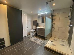 a bathroom with a shower and a toilet and a sink at Ferienwohnung Kirchblick Nideggen in Nideggen