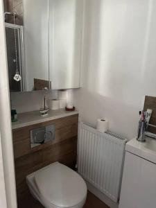 a bathroom with a white toilet and a sink at Modern Centrally Located Flat in Hastings
