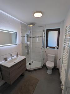 a bathroom with a shower and a toilet and a sink at Ferienwohnung Nikolaushof in Oberbillig