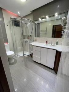 La salle de bains est pourvue d'une douche, d'un lavabo et de toilettes. dans l'établissement Amplia y céntrica residencia, à Reynosa