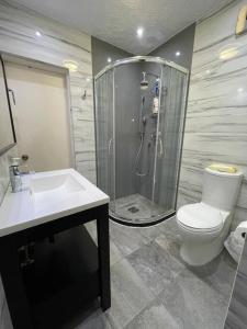 La salle de bains est pourvue d'une douche, de toilettes et d'un lavabo. dans l'établissement Amplia y céntrica residencia, à Reynosa