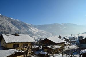 Táj Show homestays közelében