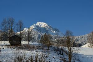 A general mountain view or a mountain view taken from the homestay