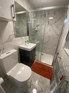 a bathroom with a toilet and a shower and a sink at THE ROYAL BOUTIQUE PICCADILLY LODGE by LONDON SLEEP 8 in Hayes