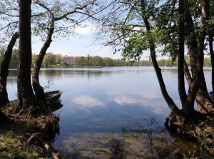 a view of a large lake with trees at Ferienhaus Altes Kabinett in Schorssow