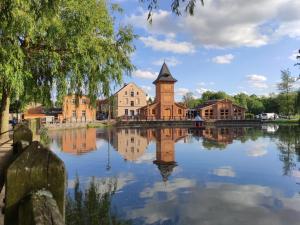 a small town with a reflection in a lake at Ferienhaus am Mühlenteich in Teterow