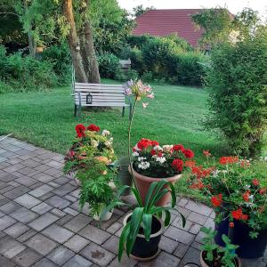 a patio with flowers and a bench in a yard at Ferienwohnung auf dem Honighof in Krassow