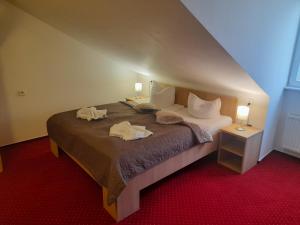 Posteľ alebo postele v izbe v ubytovaní Hotel Džbán