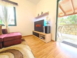 a living room with a flat screen tv on a table at Villa Nikolas in Gavalochori
