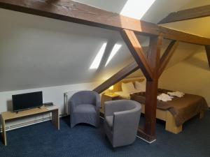 Televízia a/alebo spoločenská miestnosť v ubytovaní Hotel Džbán
