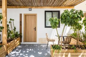 um alpendre com plantas e uma porta de madeira em Aparthotel Casita Blanca - Adults Only em San Antonio