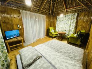 a bedroom with a bed and a flat screen tv at Birbeck Lodge in Bulusan