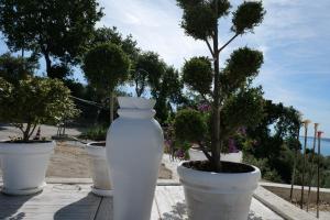 a group of white vases with trees in them at Villa Caravaggio Comfort e Relax in Rocca San Giovanni