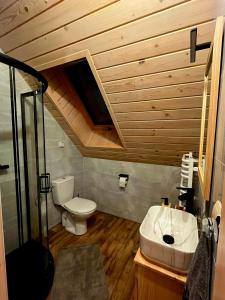 a bathroom with a toilet and a sink at Domek Między Górami in Łapsze Niżne
