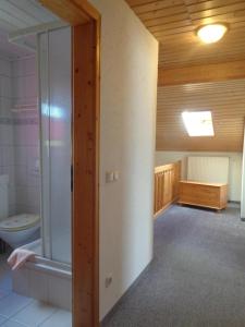 a bathroom with a shower and a toilet in a room at Ferienhaus Bauer in Kurort Oberwiesenthal