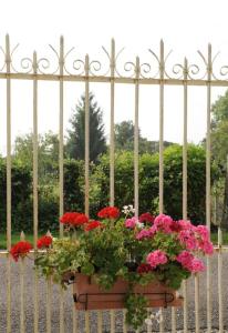 Foto dalla galleria di Le gue d'octave a Rhèges