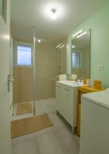 uma casa de banho com um chuveiro, um lavatório e um espelho. em Le gite de saint martin em Mailly-le-Camp