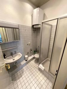 La salle de bains est pourvue d'un lavabo, de toilettes et d'une douche. dans l'établissement Monteurwohnung am Holstein-Center, à Itzehoe