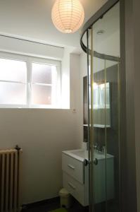La salle de bains est pourvue d'un lavabo et d'une douche en verre. dans l'établissement L'arminda, à Champfleury