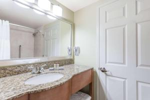 a bathroom with a sink and a mirror at Wingate by Wyndham Richmond Short Pump in Richmond