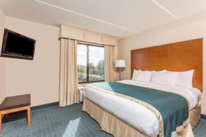 a hotel room with a large bed and a window at Wingate by Wyndham Richmond Short Pump in Richmond +49 photos