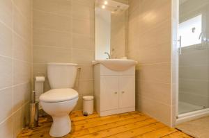 W łazience znajduje się toaleta, umywalka i prysznic. w obiekcie L'alnilia ii w mieście Romilly-sur-Seine