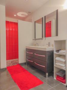 a bathroom with a sink and a red rug at Gîte 10G34 in Ville-sur-Arce