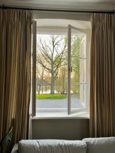 una ventana con vistas a un árbol en Kuflew Manor House, en Mrozy