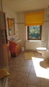 a bathroom with a sink and a toilet and a window at Ferienwohnungen Bauer in Kurort Oberwiesenthal