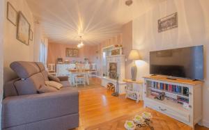 uma sala de estar com um sofá e uma televisão de ecrã plano em La maison vautier em Vendeuvre-sur-Barse