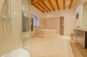 a large bathroom with a shower and a tub at Le cottage in Payns +10 photos
