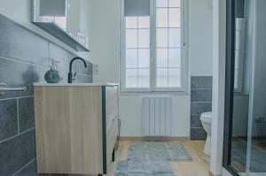 een badkamer met een wastafel en een toilet bij Le paco in Bar-sur-Aube