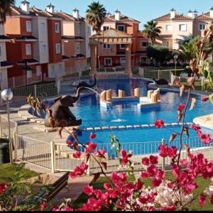 a large swimming pool with a bird flying over it at Apto. residencial en Murcia in Murcia