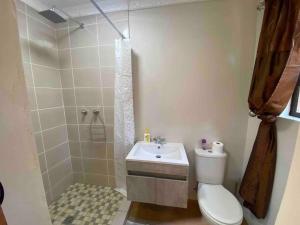 a bathroom with a toilet and a shower and a sink at Vlakkieskraal FarmStay - Bosvark Cabin in Bela-Bela +4 photos