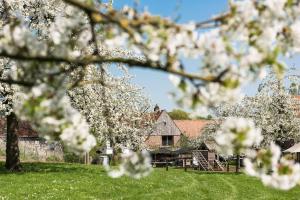 una casa in un campo con alberi da fiore di Herberg De Zwaan a Sint-Truiden