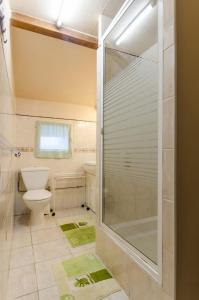 a bathroom with a glass shower and a toilet at La sablonniere in La Ville-aux-Bois
