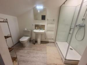 a bathroom with a toilet and a sink and a shower at studio3 spacieux 1à4 pers in Marboz