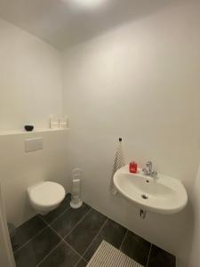 Baño blanco con aseo y lavamanos en Wienerwald Juwel, en Irenental