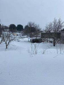 a field covered in snow with trees and a building at Adeste to Lasithi Luxury Apartment in Mésa Lasithákion