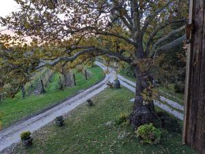 Zahrada ubytování Castel San Mauro