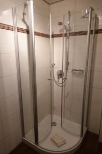 a shower with a glass door in a bathroom at Hotel Birnbaum in Ansbach