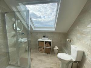 a bathroom with a toilet and a skylight at Into The Burren in Murroogh