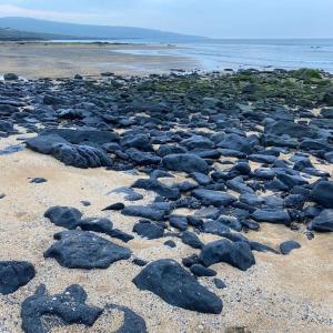 Murroogh的住宿－Into The Burren，海滩上一大群岩石