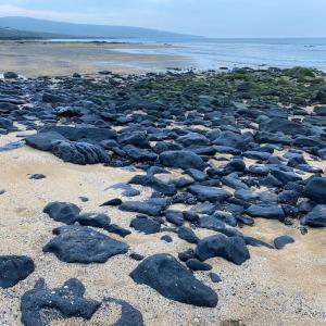a large group of rocks on a beach at Into The Burren in Murroogh