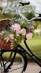 een mand gevuld met bloemen op een fiets bij B&B Het Doctershoes in Kinrooi