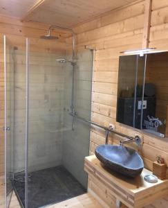 a bathroom with a sink and a glass shower at Lodge-Altjeßnitz-Goitzsche 