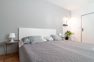 Dormitorio blanco con cama grande con almohadas grises en Penzion Vinařství W18, en Velké Bílovice