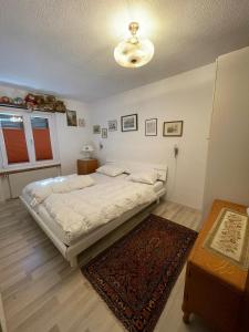 um quarto com uma cama e um tapete em Casa Anita em Laax-Murschetg